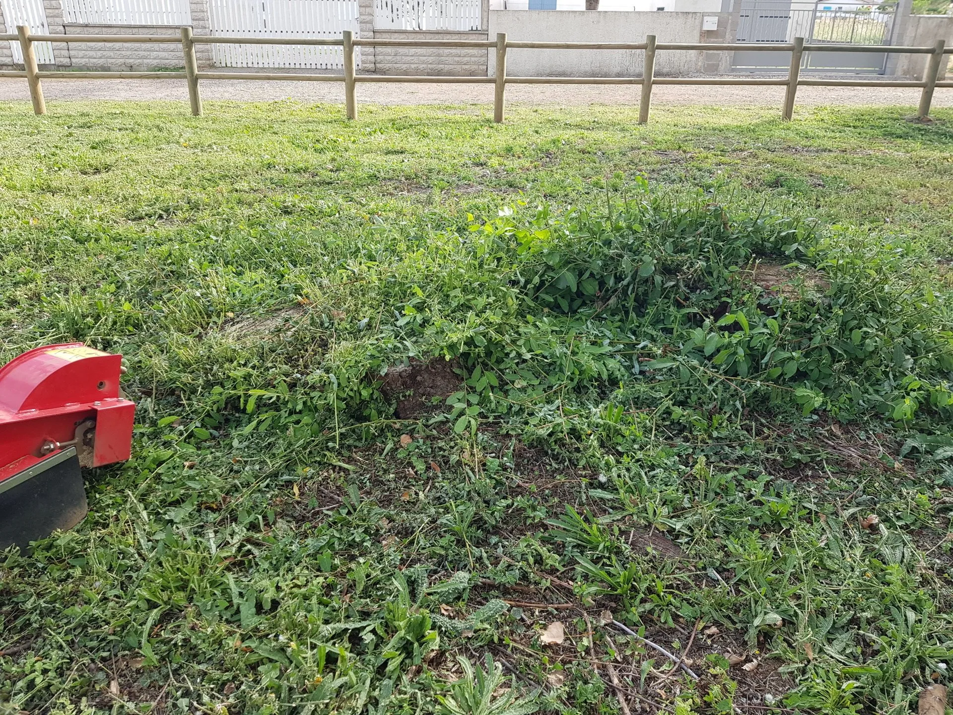 Débroussaillage avant intervention