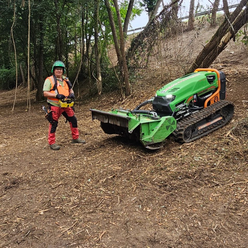 Chantier de débroussaillage