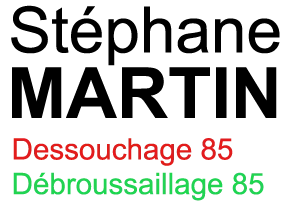 D & D 85<br />
